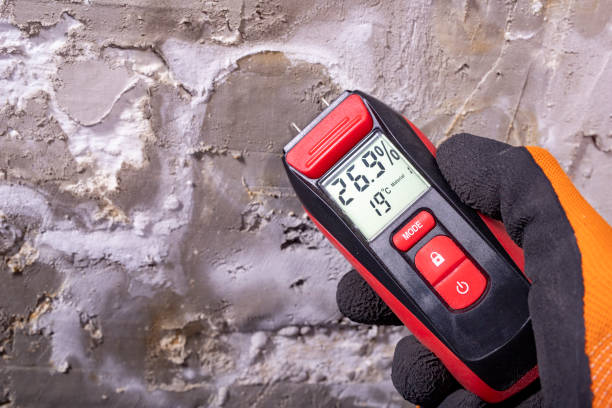 Best Crawl Space Mold Removal  in Ford Heights, IL